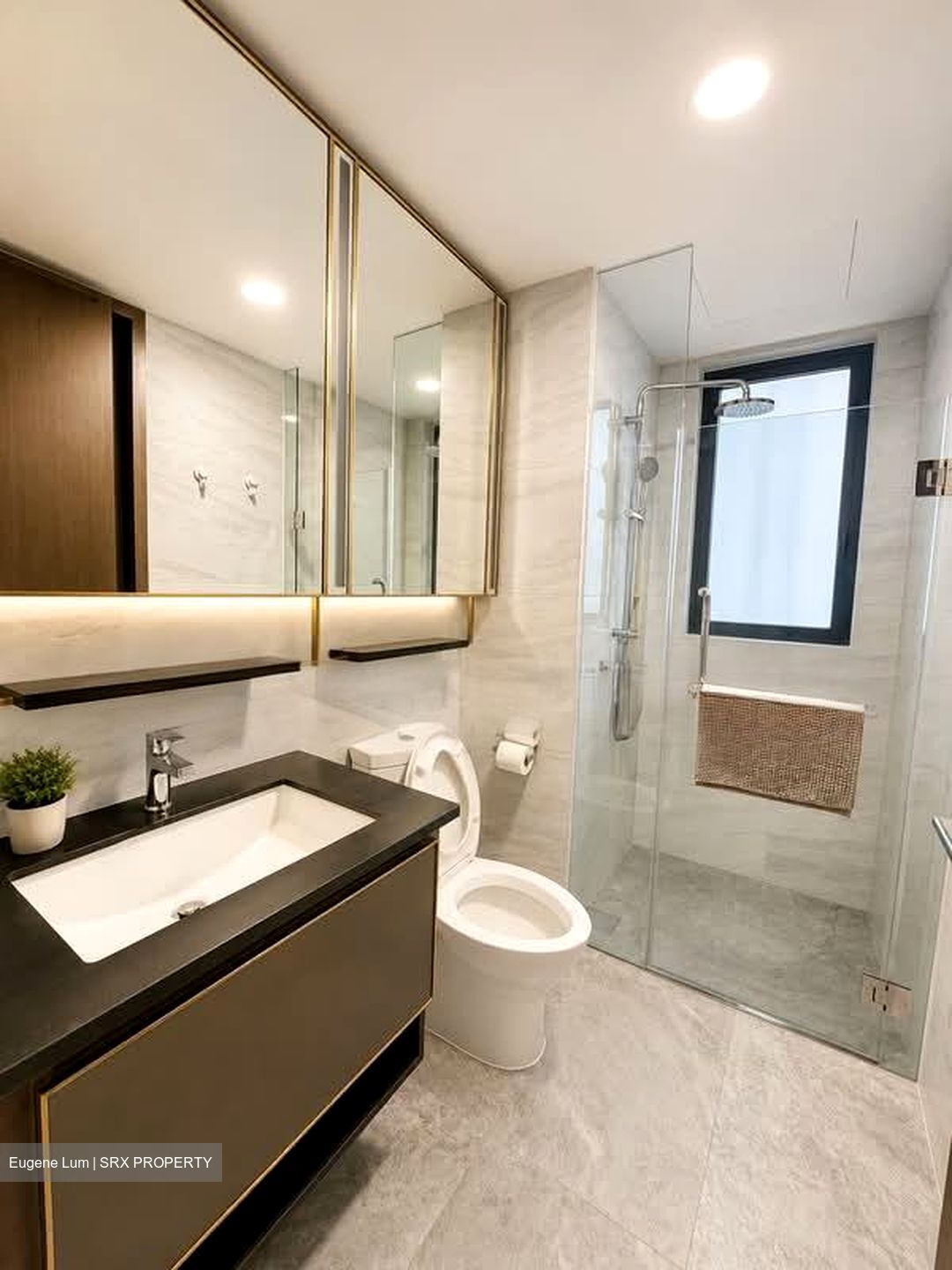 Normanton Park (D5), Apartment #581269551
